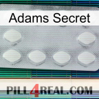 Adams Secret 16